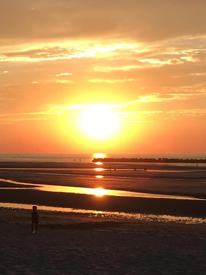 Plage Et Jardin A Malo Les Bains 敦刻尔克 外观 照片