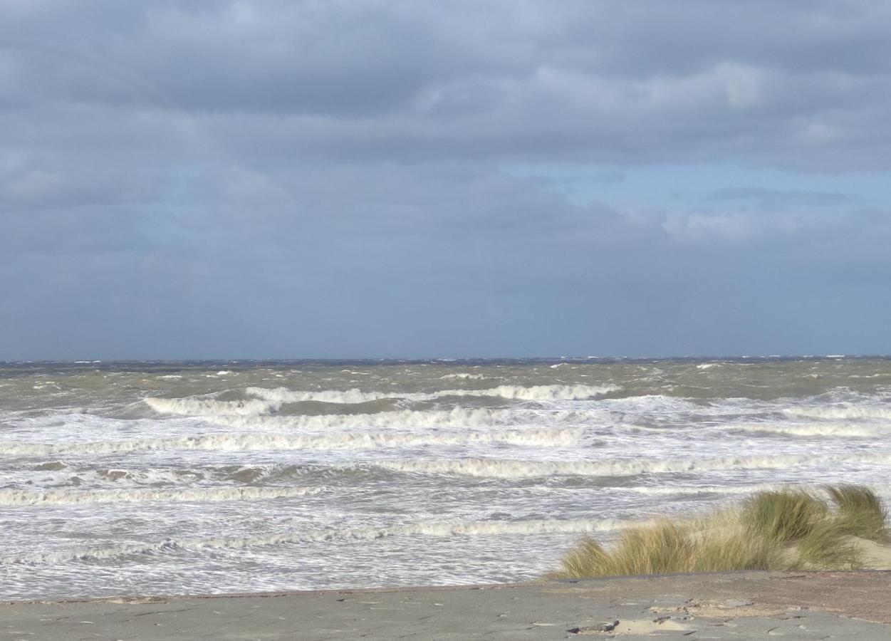 Plage Et Jardin A Malo Les Bains 敦刻尔克 外观 照片